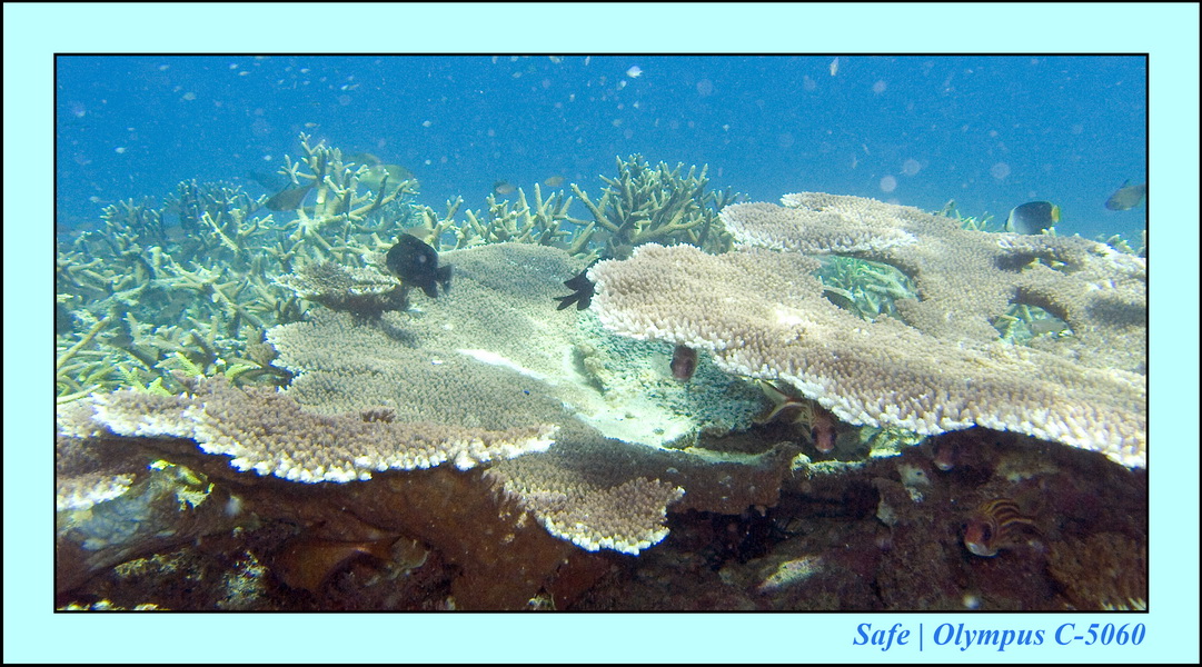 2008 - 07 - Leng Tengah - 061